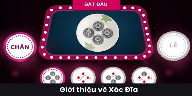 Xóc đĩa 7Fun7 - Cơ hội làm giàu siêu nhanh cho người chơi trải nghiệm