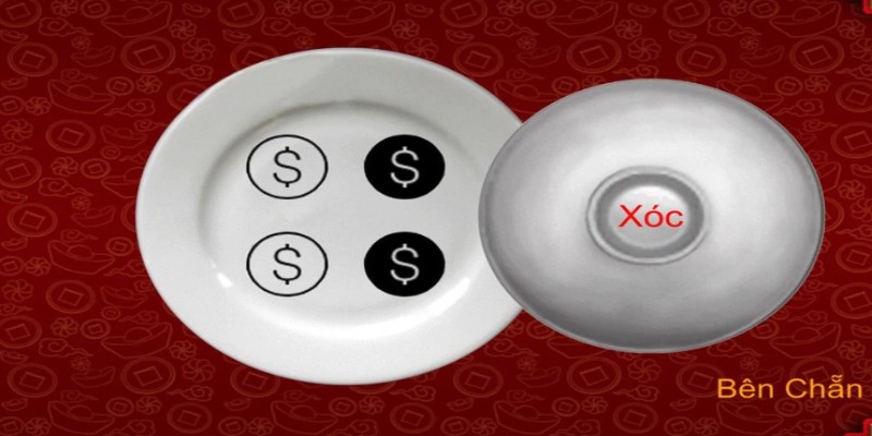 Giới thiệu tổng quan về sức hút của xóc đĩa Top88