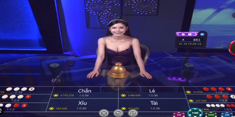 Giao diện bàn xóc đĩa Vip79 trực quan dễ thao tác 